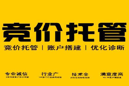 百度竞价公司案例研究：提高广告转化率的关键